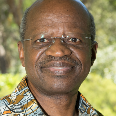Prof. Dr. Mamadou Diawara FBA